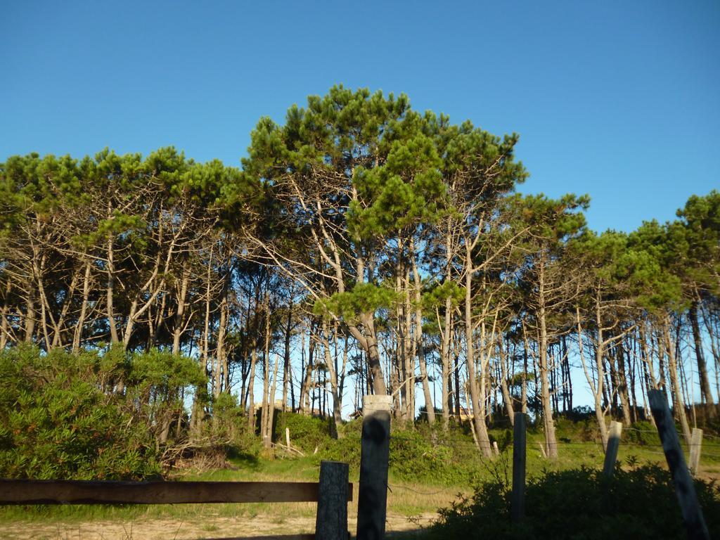 Cabañas Pietragalla Punta del Diablo Exterior foto